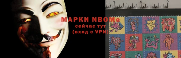 шишки Белокуриха