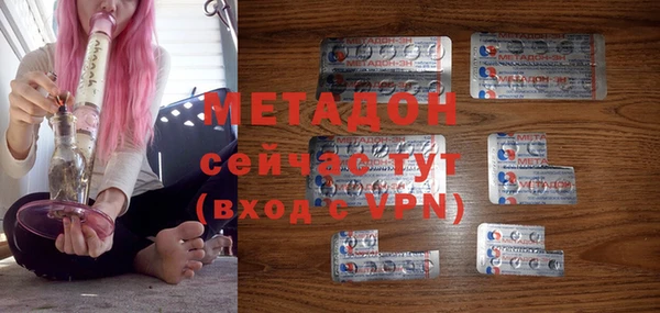 шишки Белокуриха