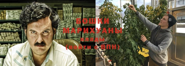 шишки Богданович