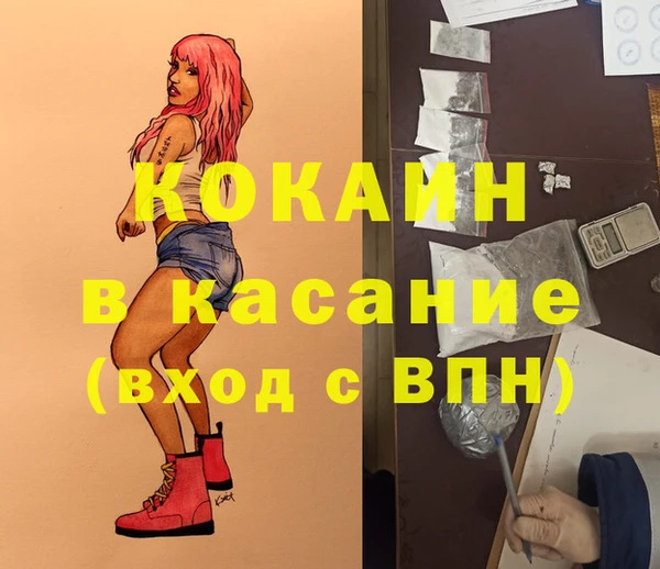 шишки Богданович