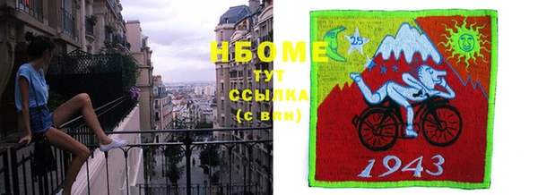 шишки Белокуриха