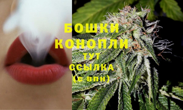 шишки Белокуриха